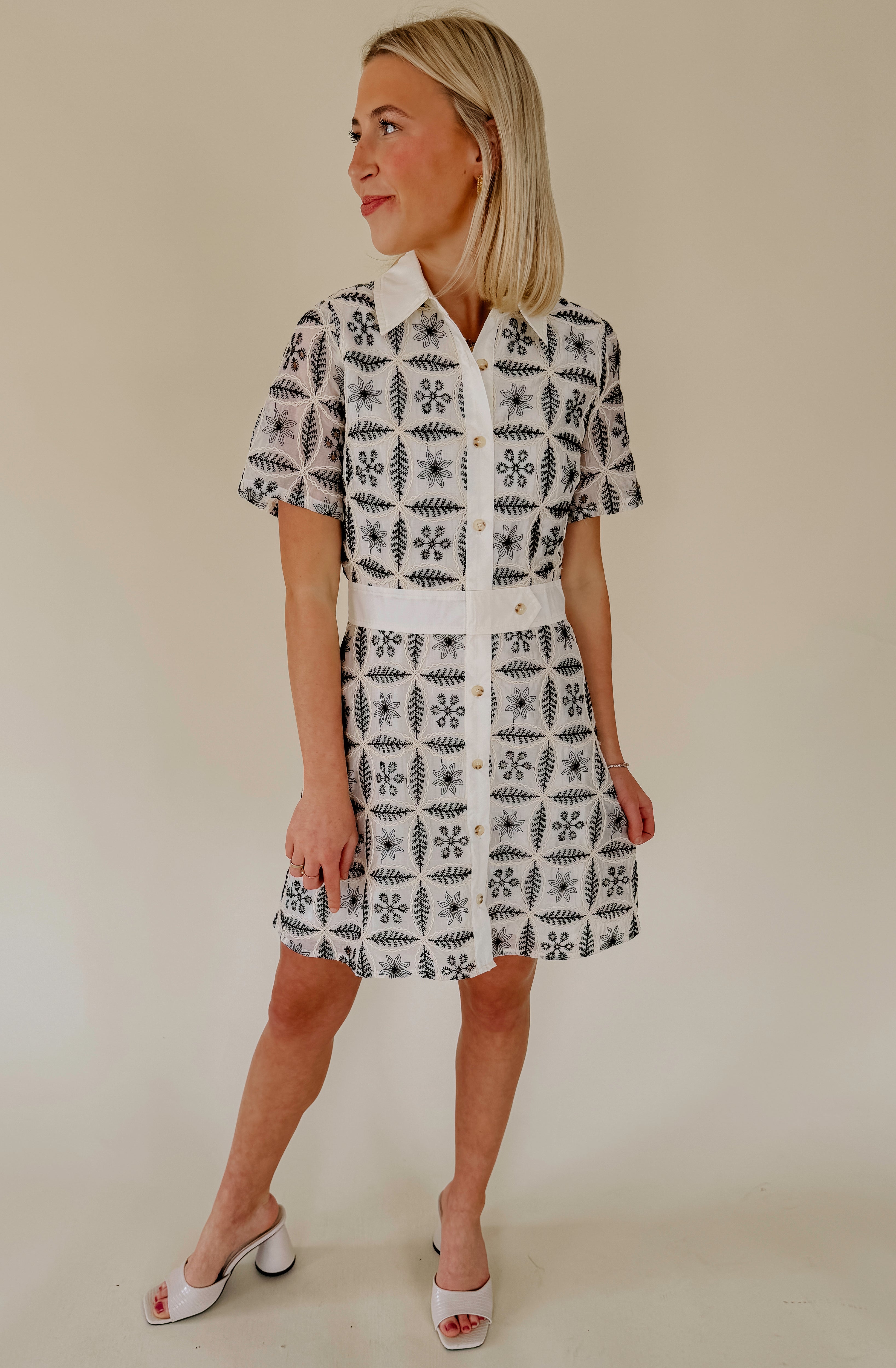 ON THE BORDER EMBROIDERED MINI DRESS