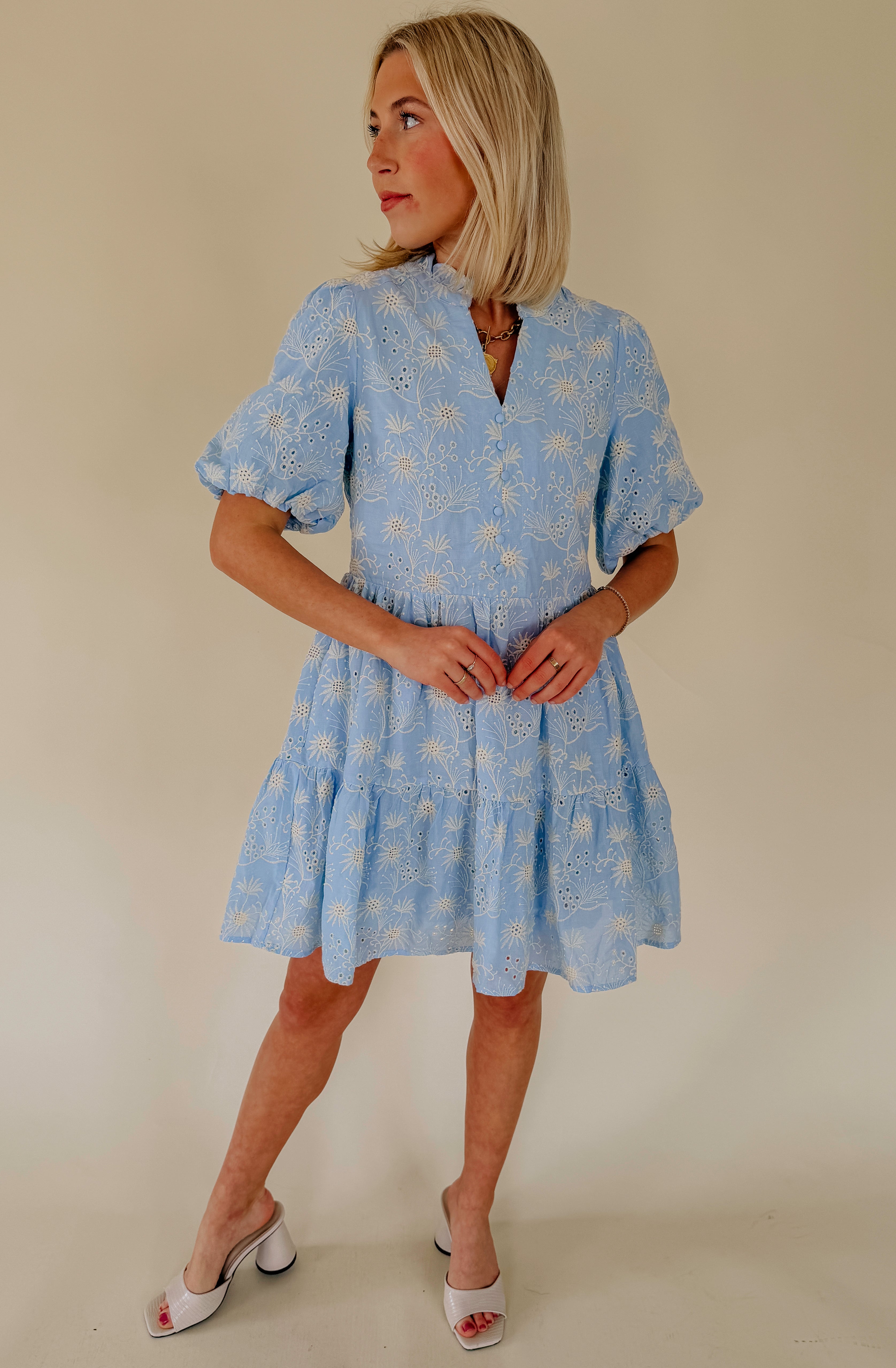BLUE SKIES EMBROIDERED DRESS