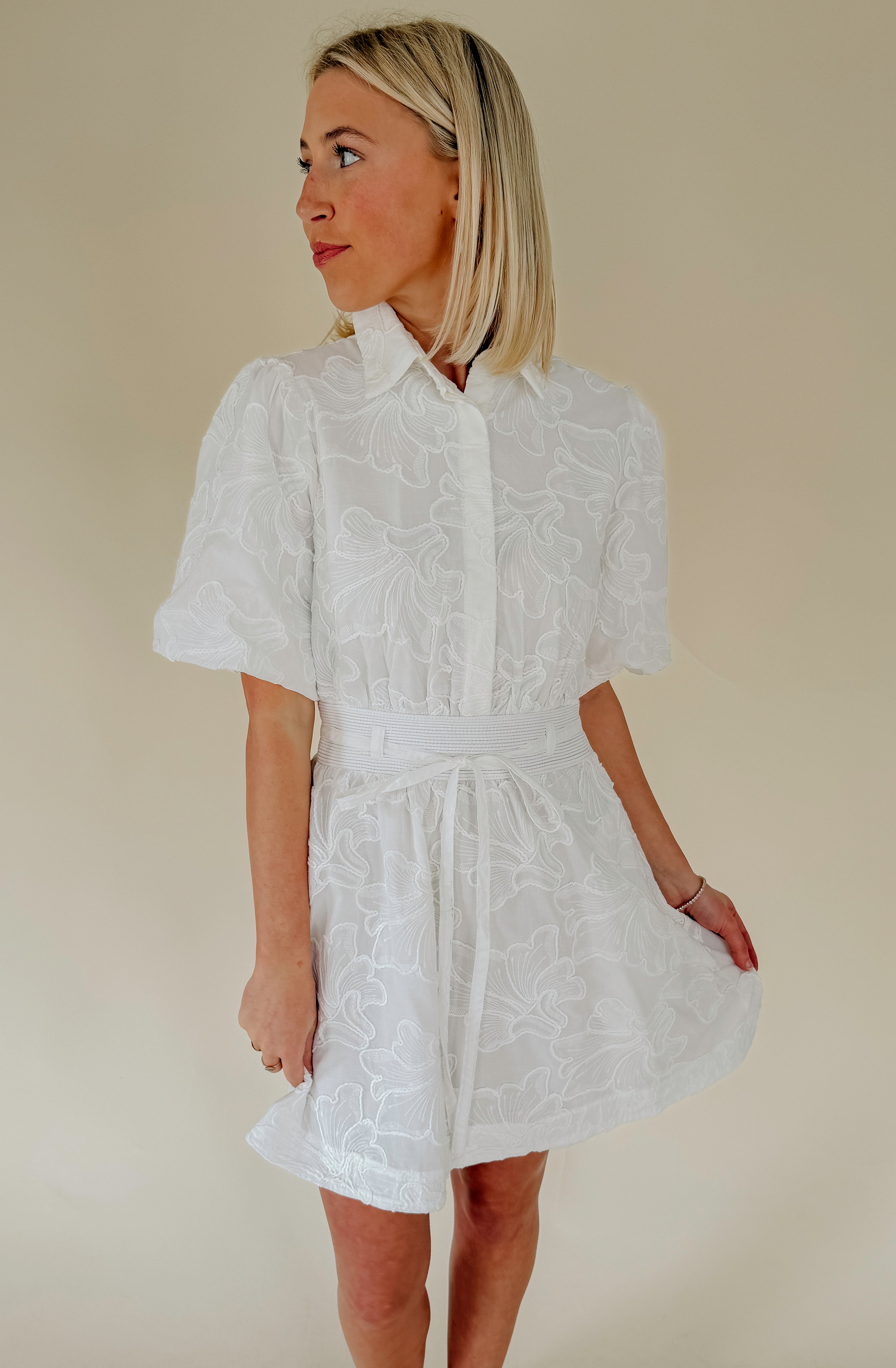 THE LANIE EMBROIDERED MINI DRESS