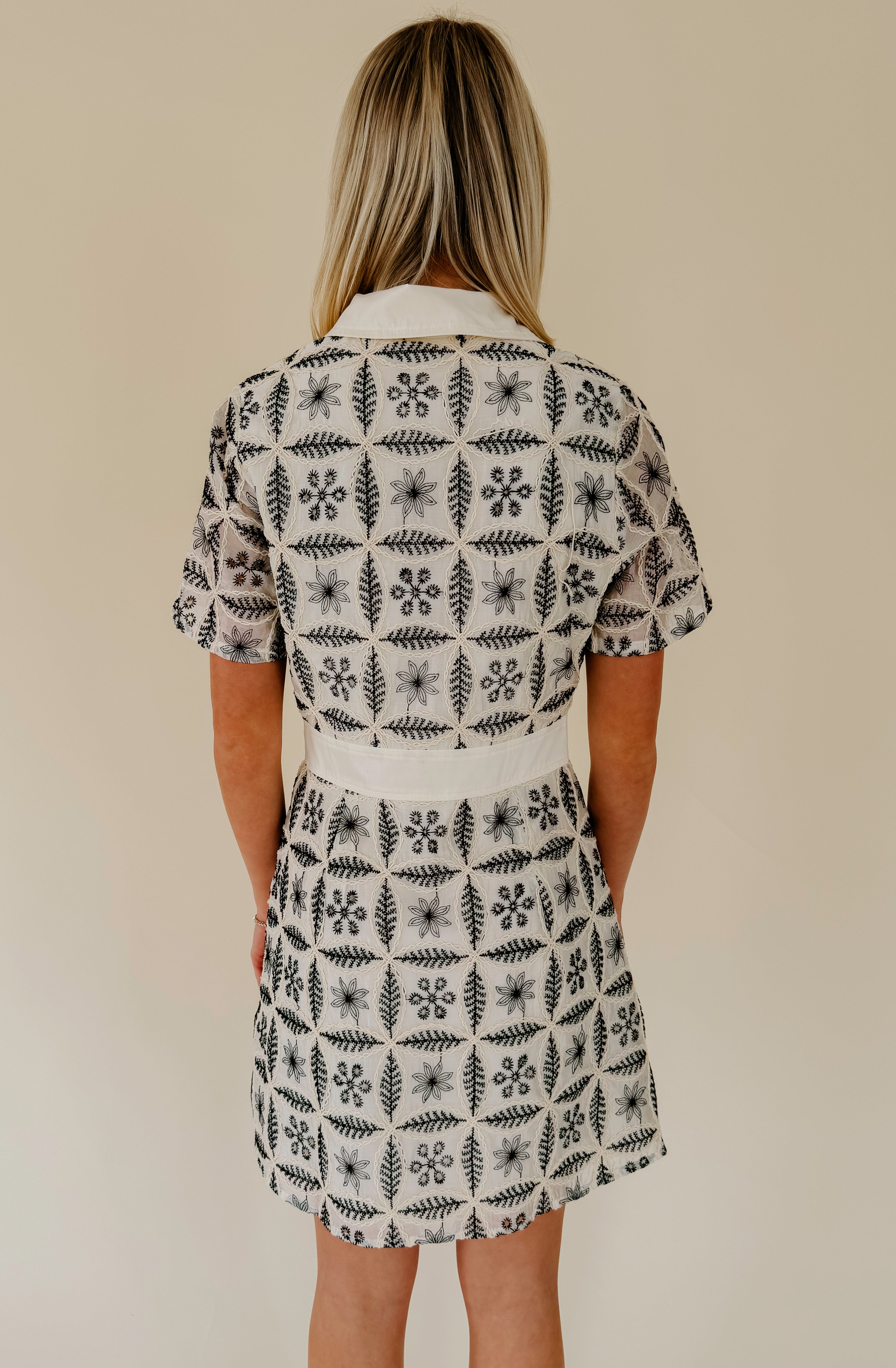 ON THE BORDER EMBROIDERED MINI DRESS