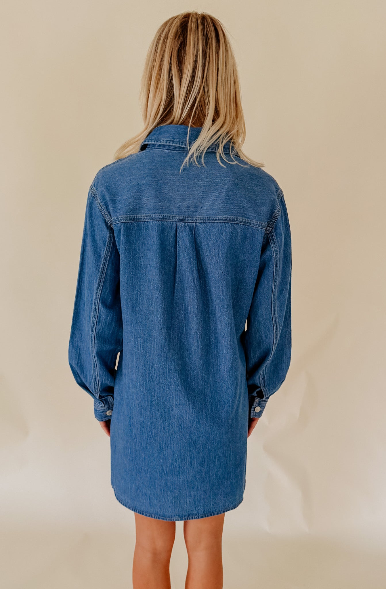 Z SUPPLY LUCIE DENIM SHIRT DRESS