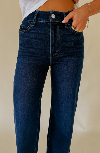PAIGE ANESSA REVERSE SEAMED DENIM IN 31"