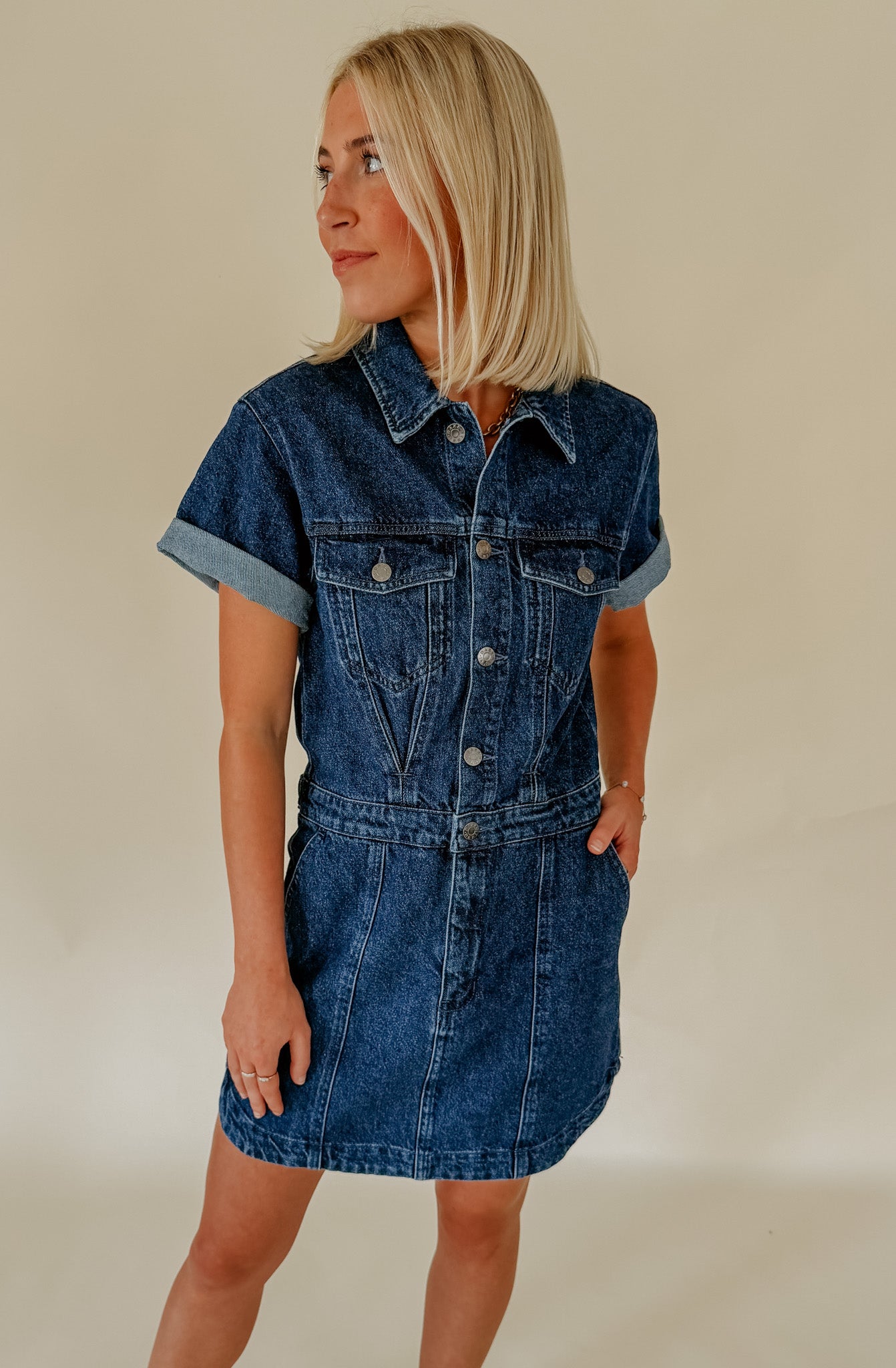 DAZE TOPANGA DENIM DRESS