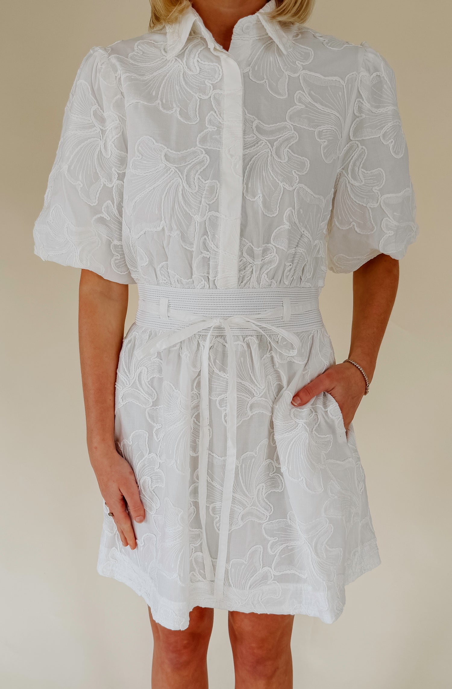 THE LANIE EMBROIDERED MINI DRESS