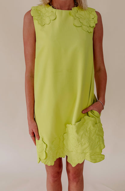 MARGARITAVILLE 3D SHIFT DRESS
