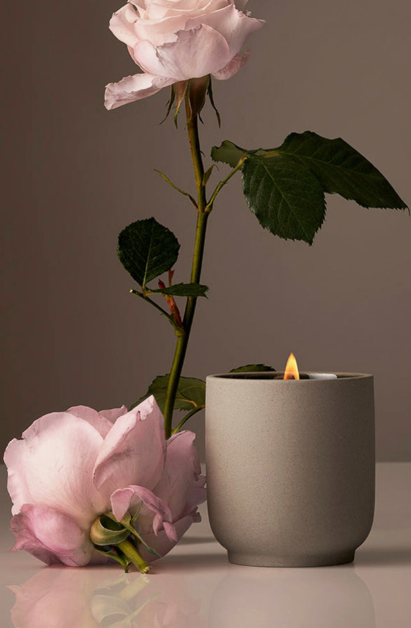 HOMECOURT SIGNATURE CANDLE IN STEEPED ROSE