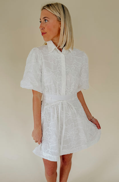 THE LANIE EMBROIDERED MINI DRESS