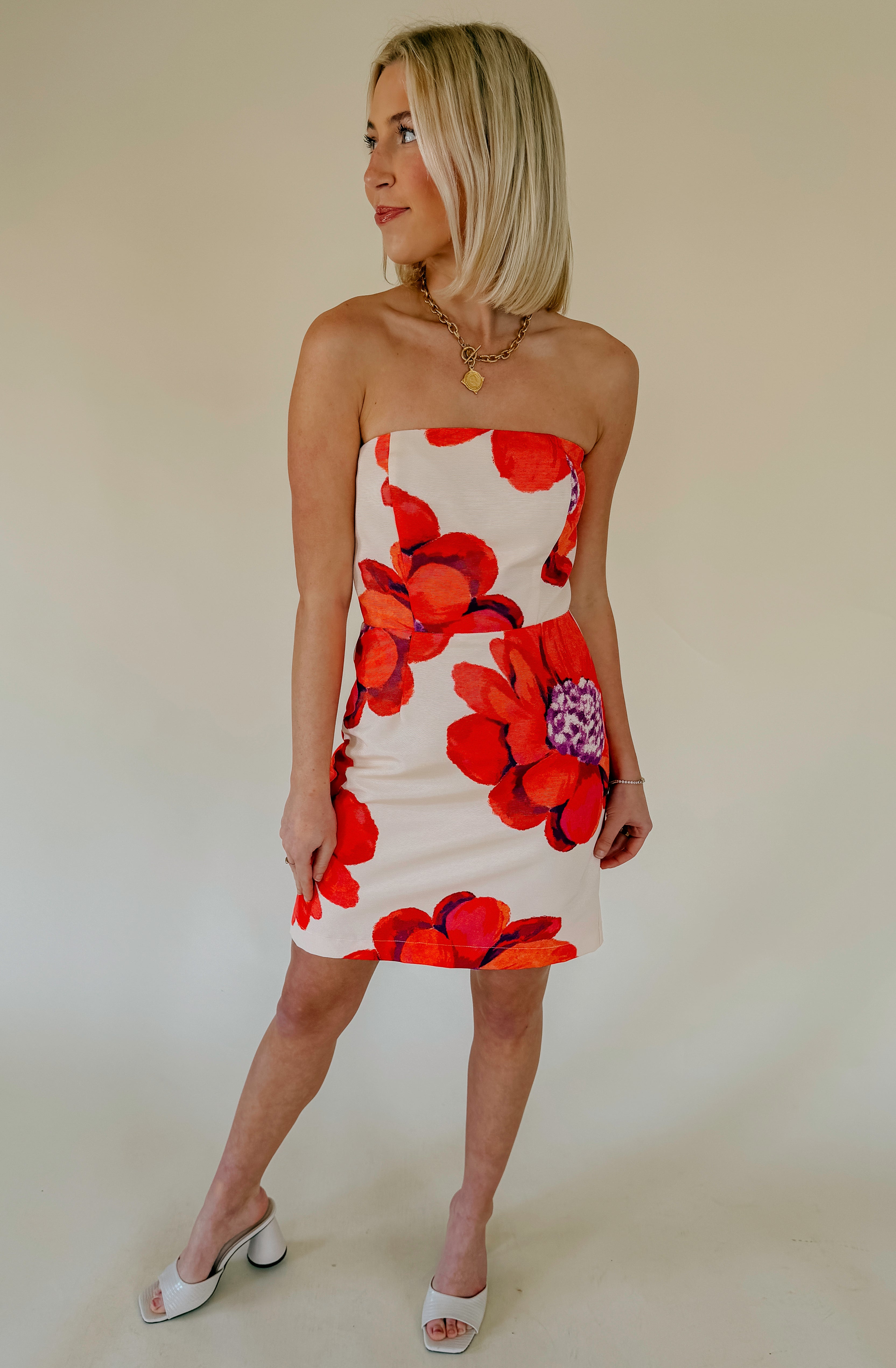 LAVENDER BROWN ANGELINA DRESS