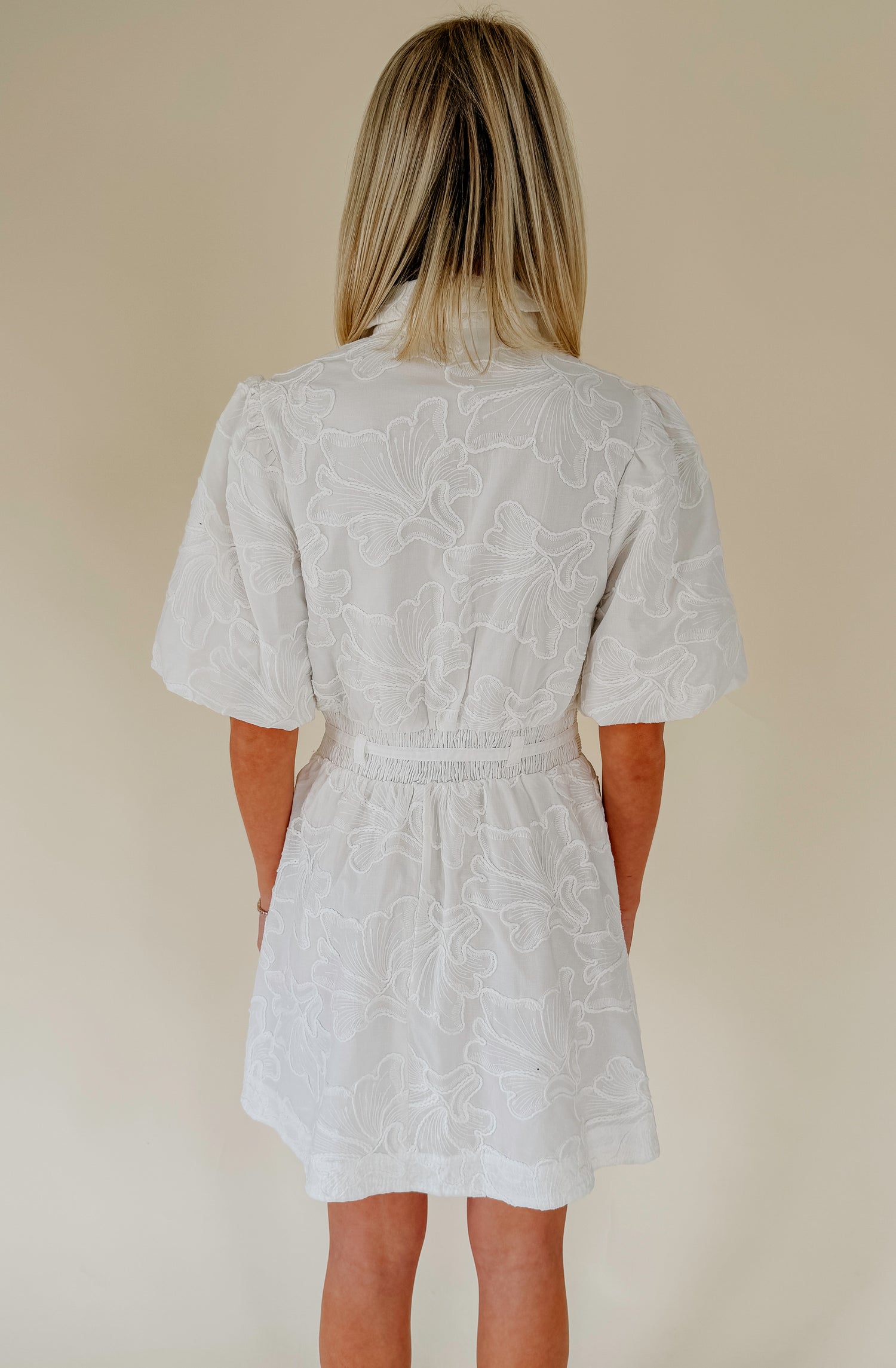 THE LANIE EMBROIDERED MINI DRESS
