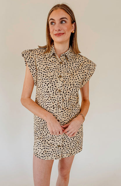 STEVE MADDEN ILARA DRESS