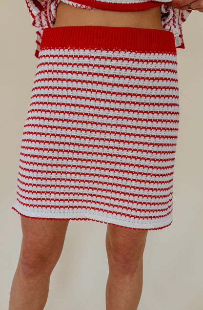 FOR SURE KNIT SKIRT