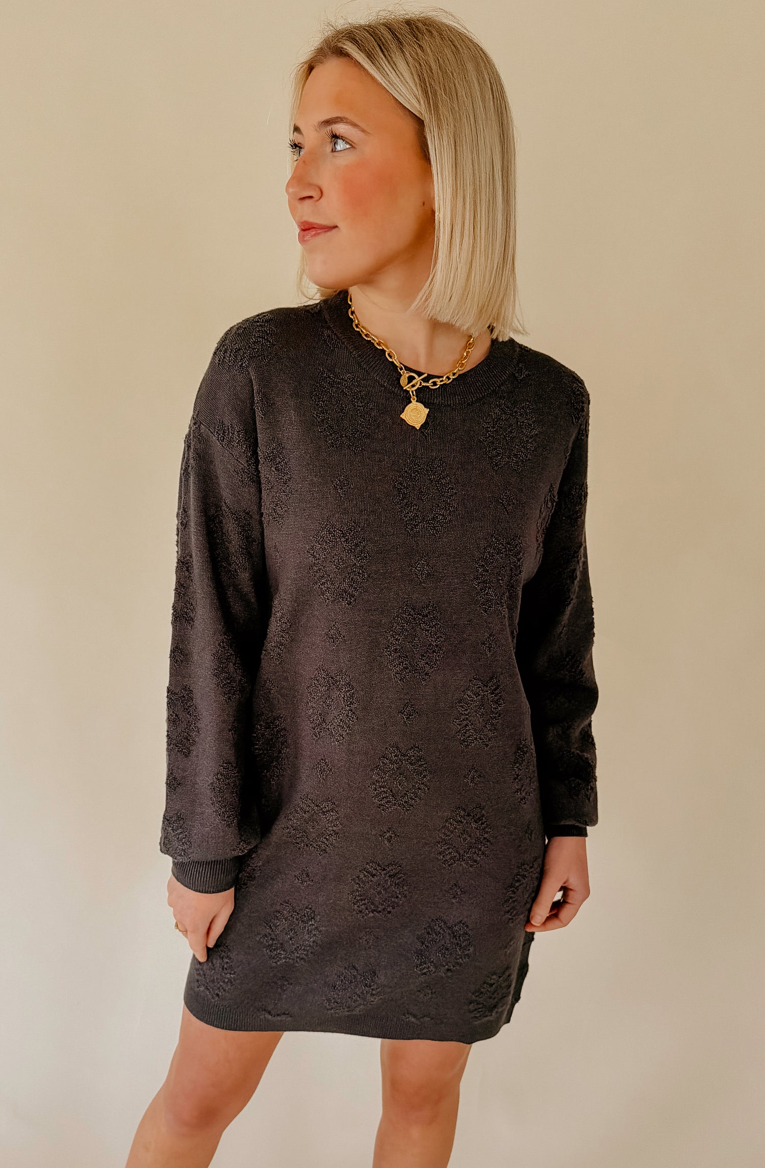 Z SUPPLY AMINA SWEATER DRESS