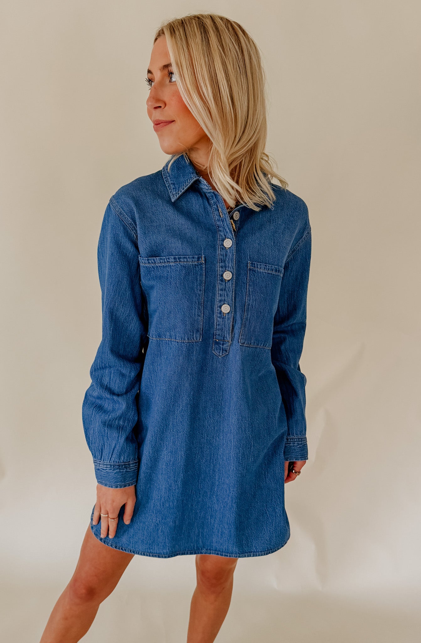 Z SUPPLY LUCIE DENIM SHIRT DRESS