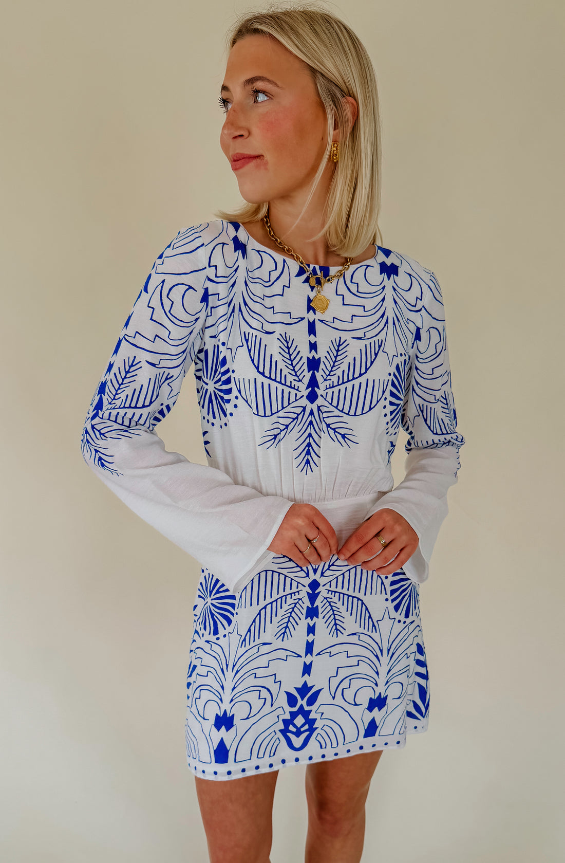 Z SUPPLY TAHINA PALM MINI DRESS