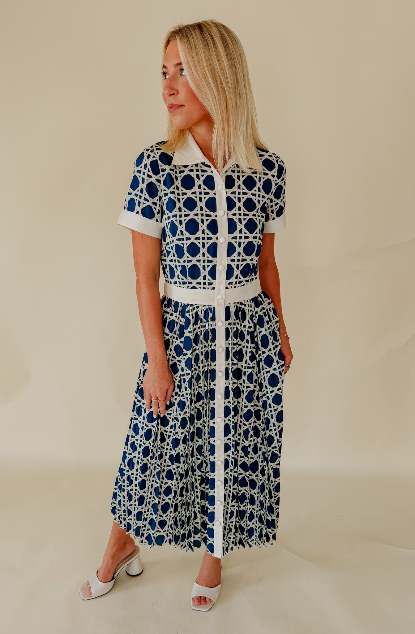 MESTIZA BILLIE COLLARED SHIRT DRESS