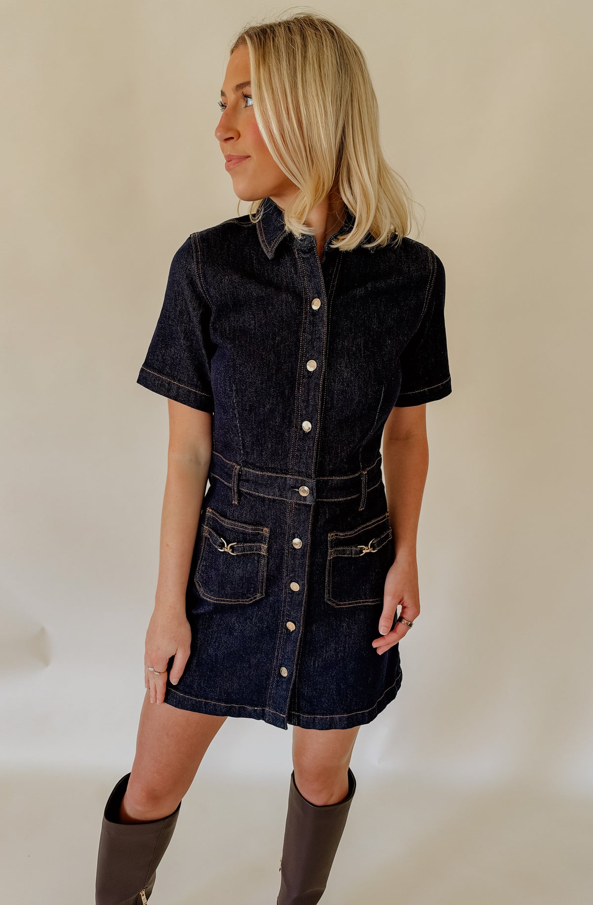 Z SUPPLY THE CRUSH DENIM DRESS