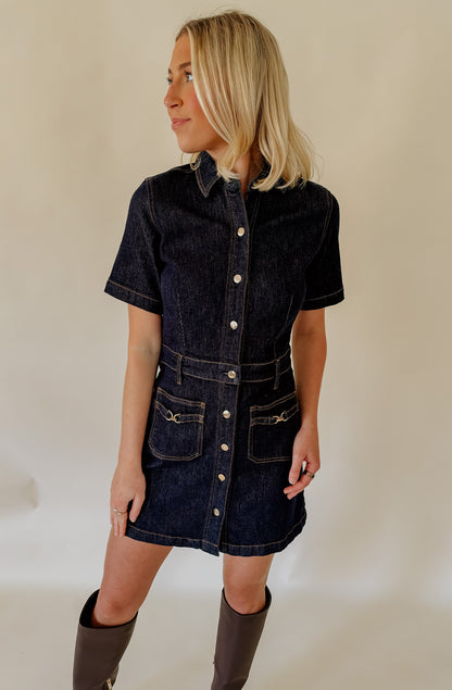 Z SUPPLY THE CRUSH DENIM DRESS