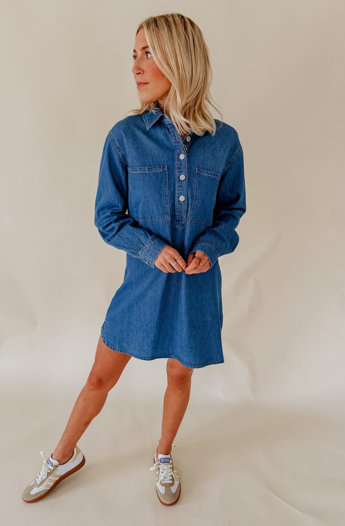 Z Supply Lucie Denim Shirt Dress