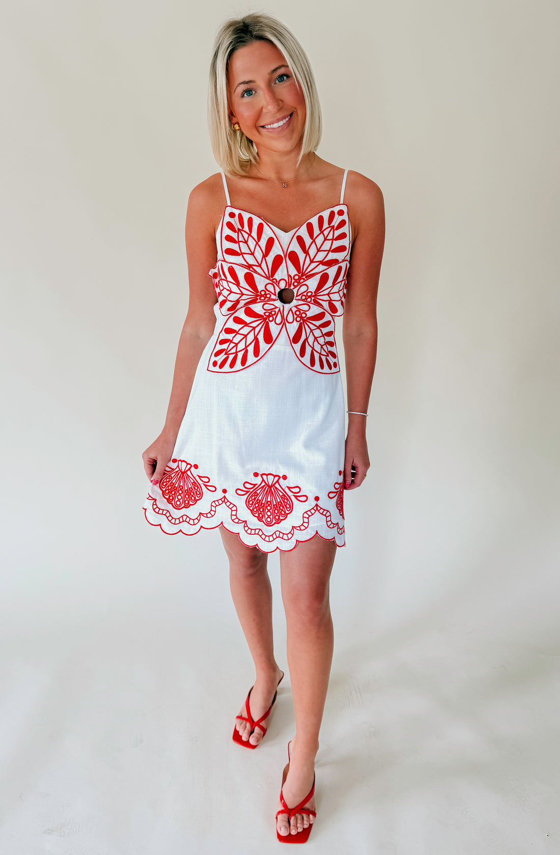 RESORT READY EMBROIDERED DRESS