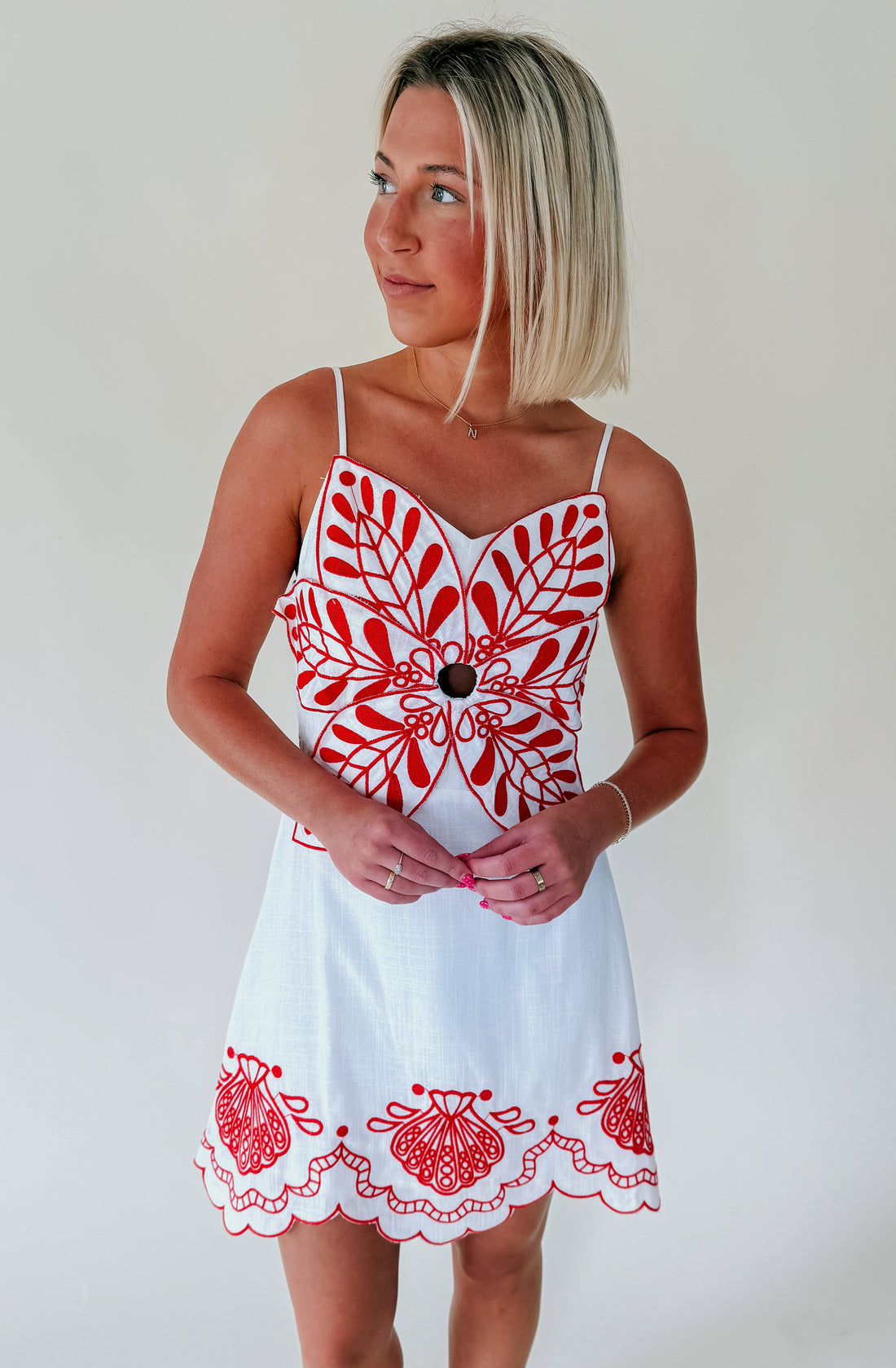 RESORT READY EMBROIDERED DRESS