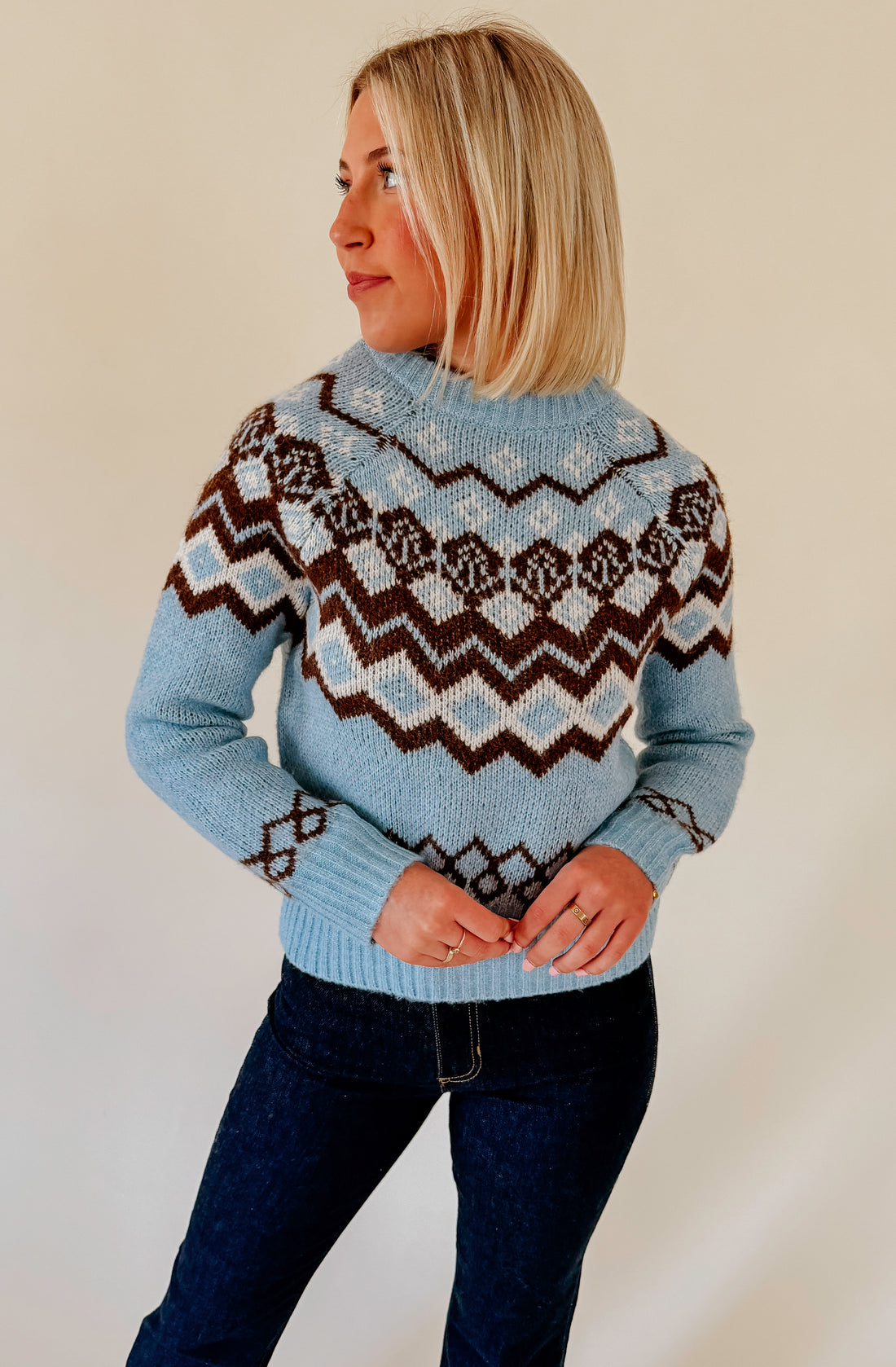 WINTERY MIX CREW NECK SWEATER