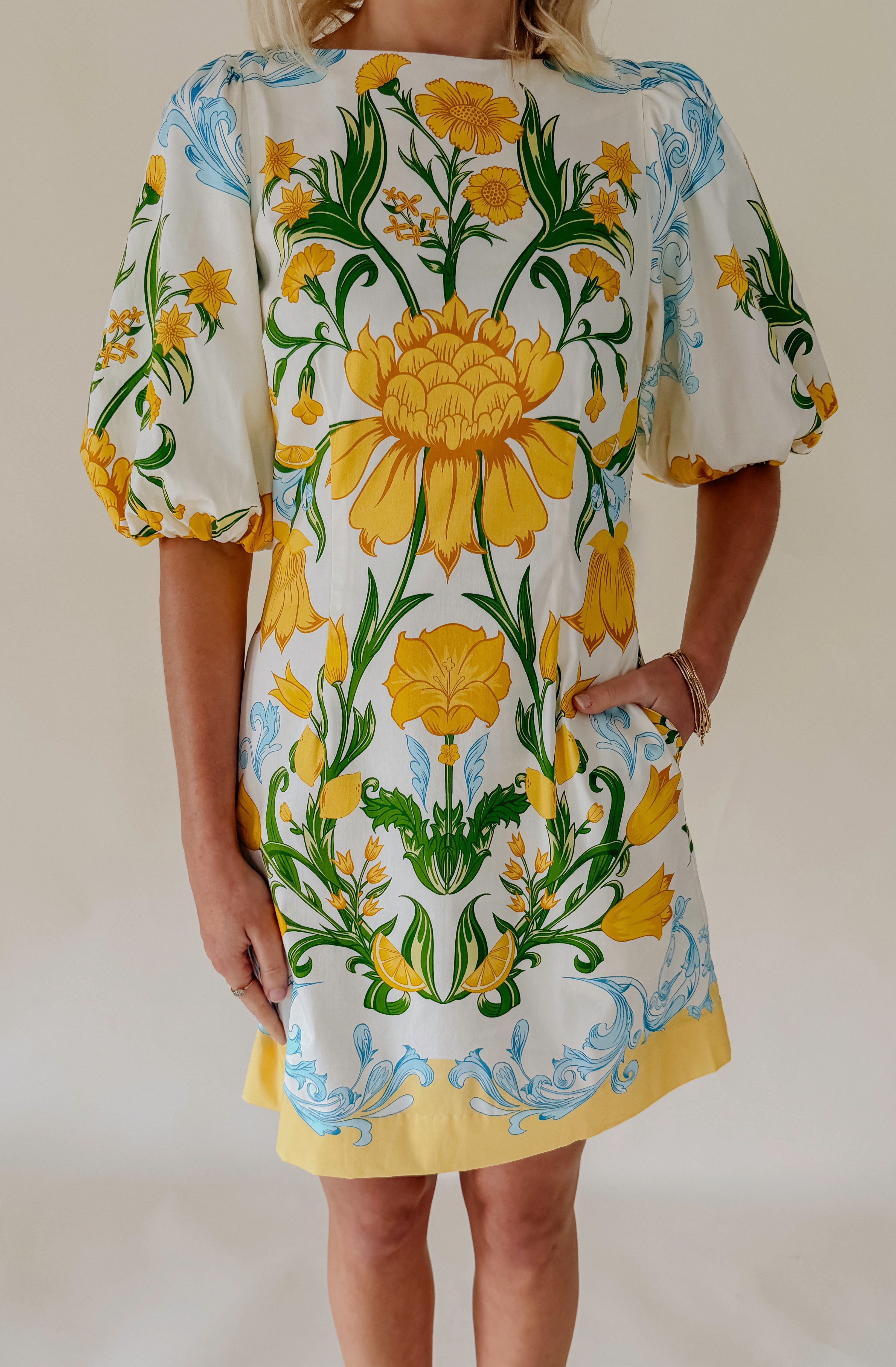 MESTIZA DONOVAN MINI DRESS