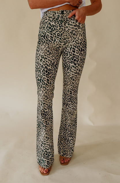 SILVER AVERY BOOTCUT JEAN