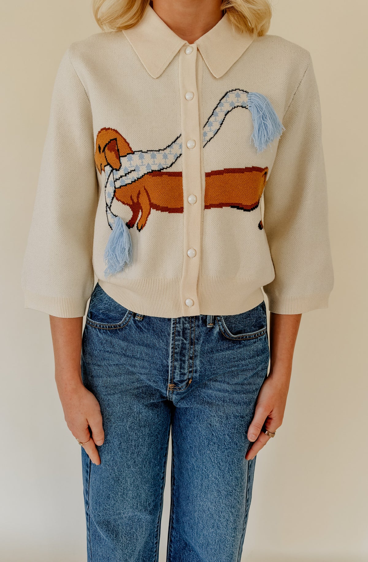 A WALK IN THE PARK 3D DOG SWEATER
