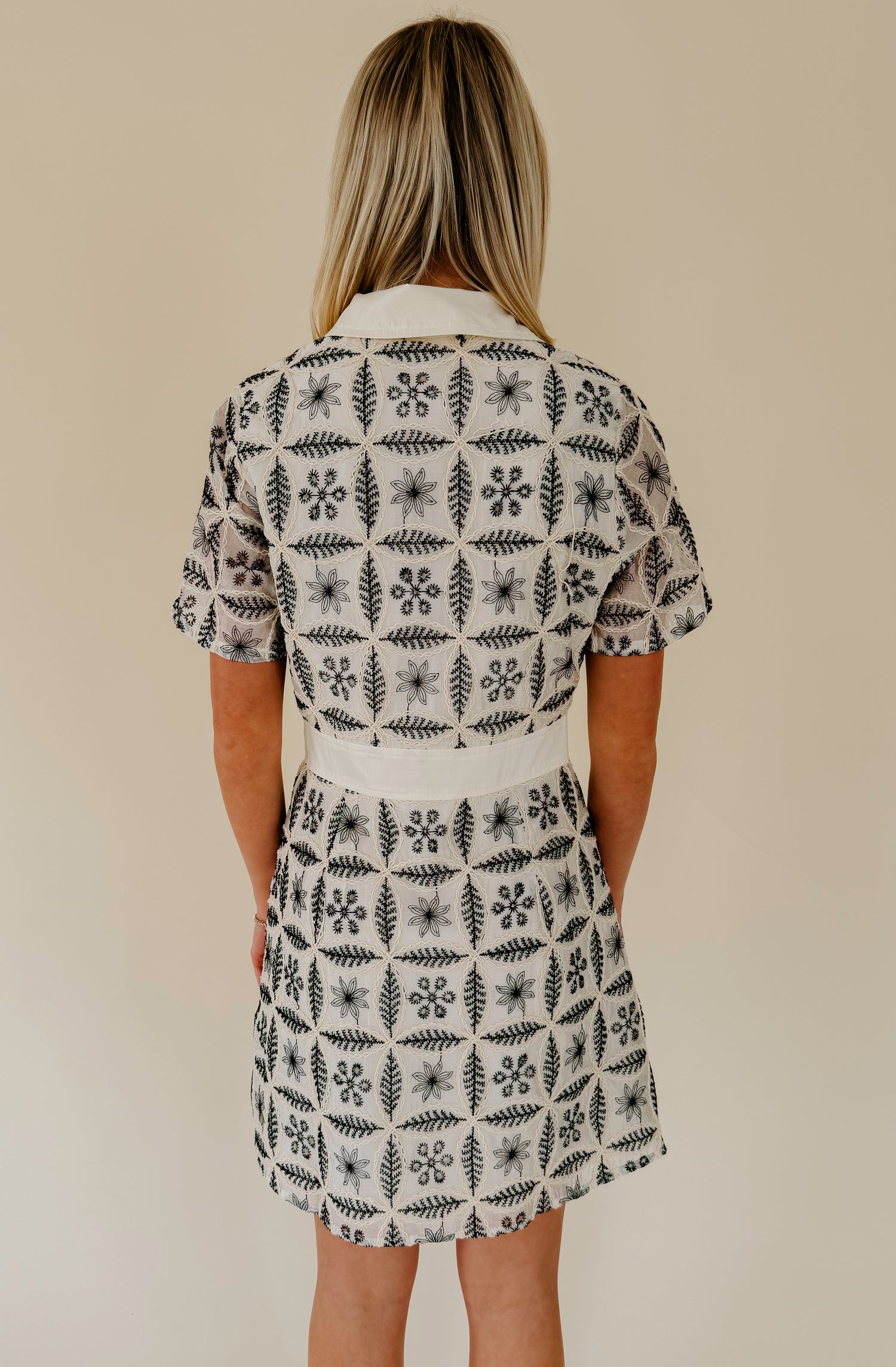 ON THE BORDER EMBROIDERED MINI DRESS