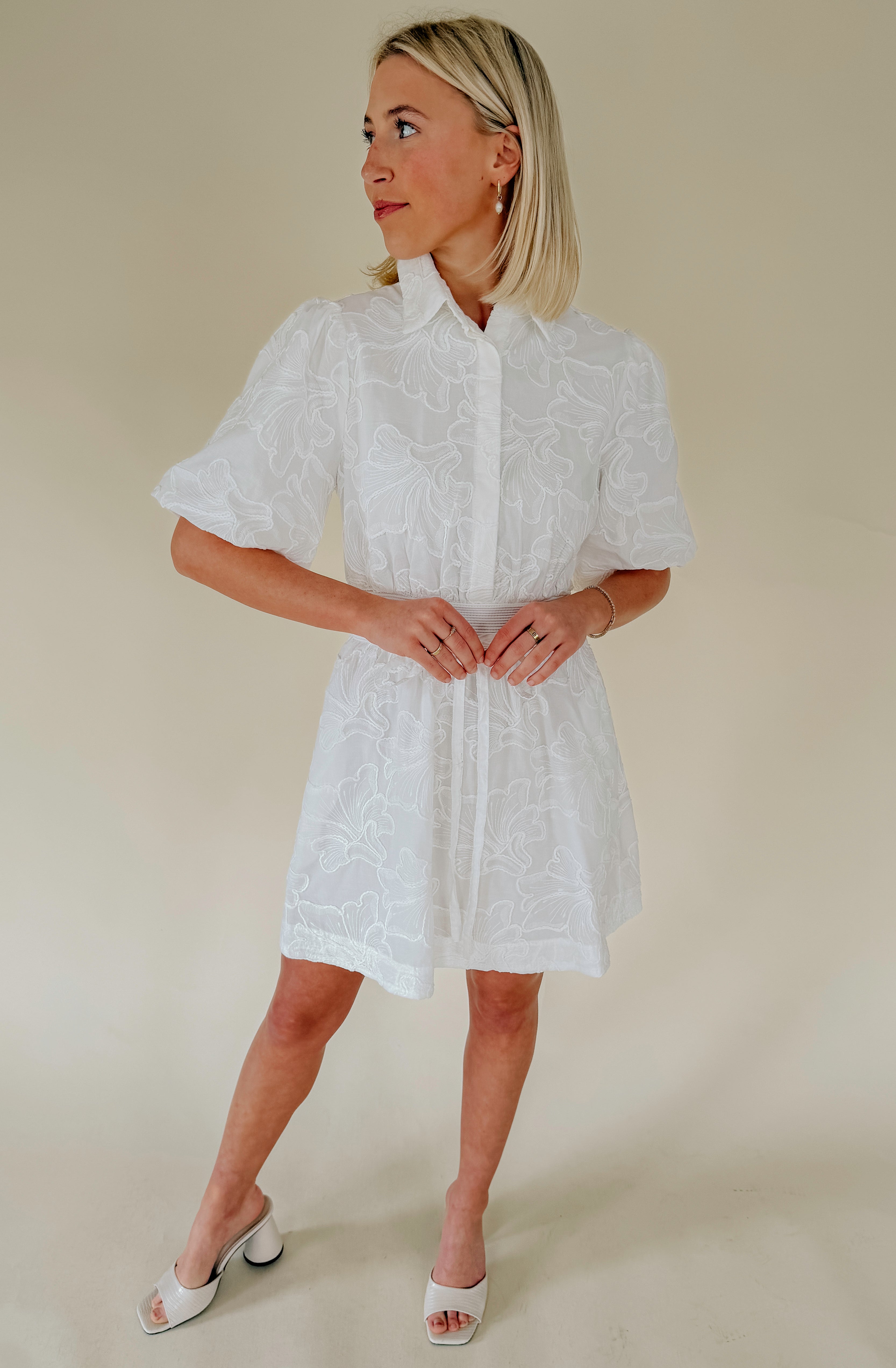 THE LANIE EMBROIDERED MINI DRESS