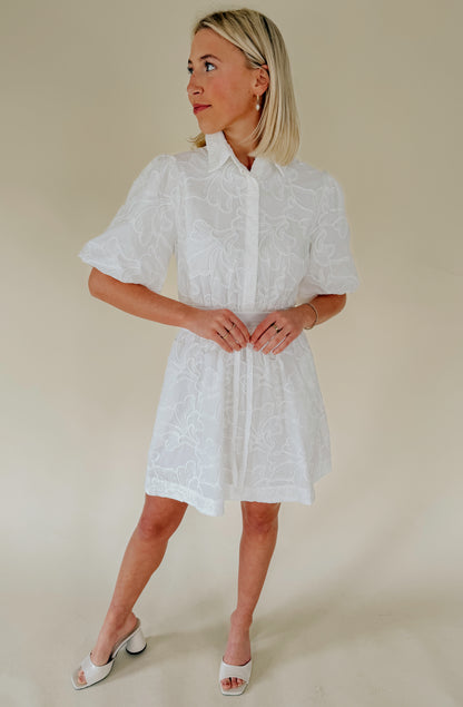 THE LANIE EMBROIDERED MINI DRESS