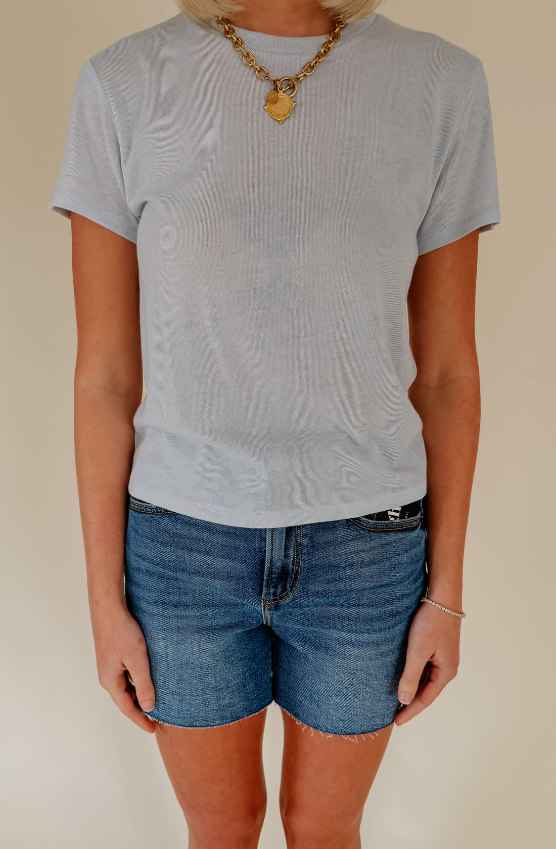 Z SUPPLY TOURIST TEE