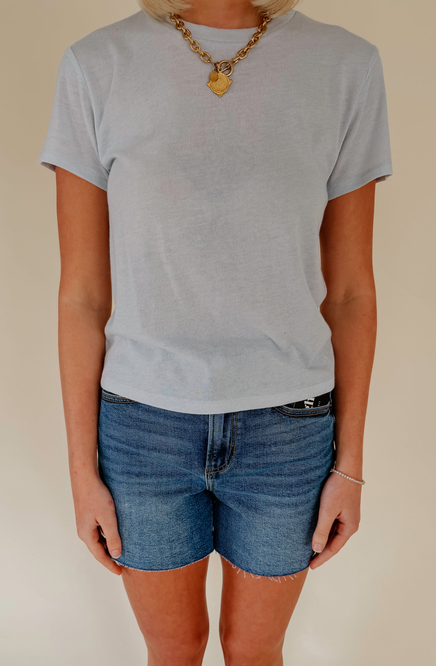 Z SUPPLY TOURIST TEE