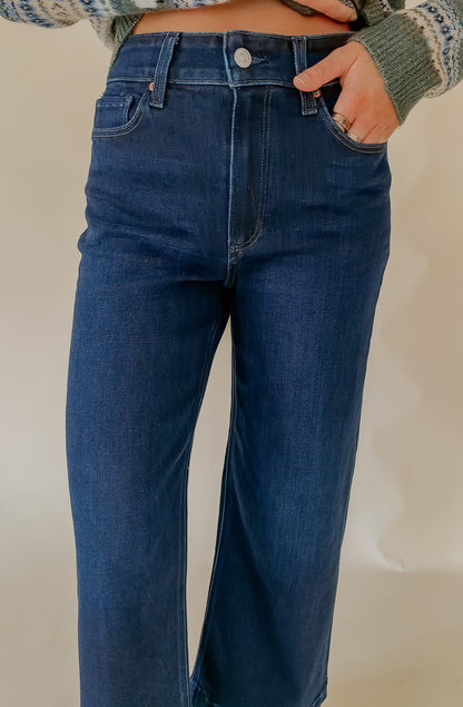 PAIGE ANESSA HIGH RISE WIDE LEG IN PHENOMENON